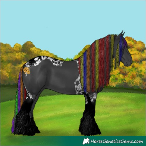 Horse Color:Painted Black Tobiano 