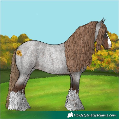 Horse Color:Liver Red Roan