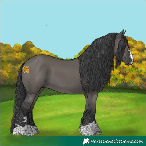 Horse Color:Grullo 
