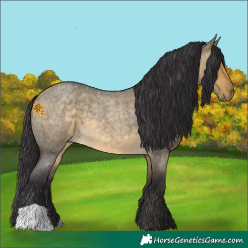 Horse Color:Buckskin Roan Dun