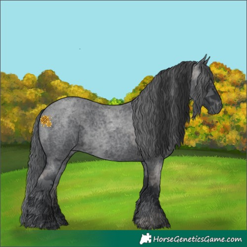 Horse Color:Blue Roan Merle