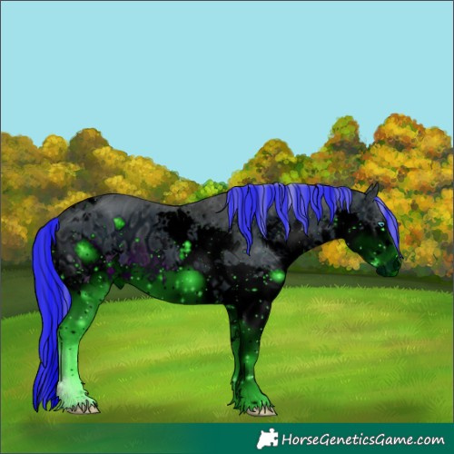 Horse Color:ERROR: UNKNOWN ANOMALY