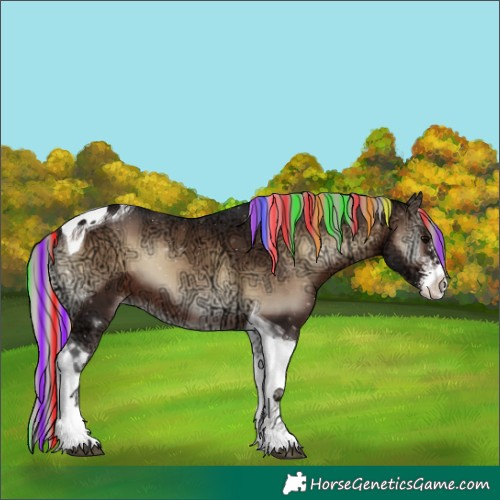 Horse Color:Painted Silver Brown Ice Onyx Sabino Tobiano Appaloosa 