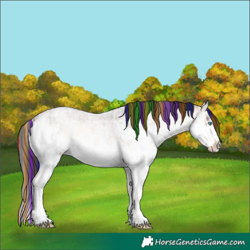 Horse Color:Painted Brown Ice Roan Onyx Splash