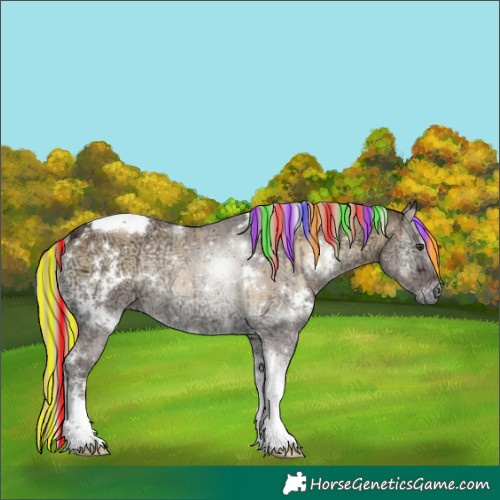 Horse Color:Painted White Spotted Chocolate Palomino Ice Onyx Tobiano Rabicano Brindle 