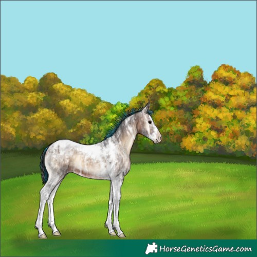 Horse Color:Painted Brown Ice Onyx Splash Tobiano 