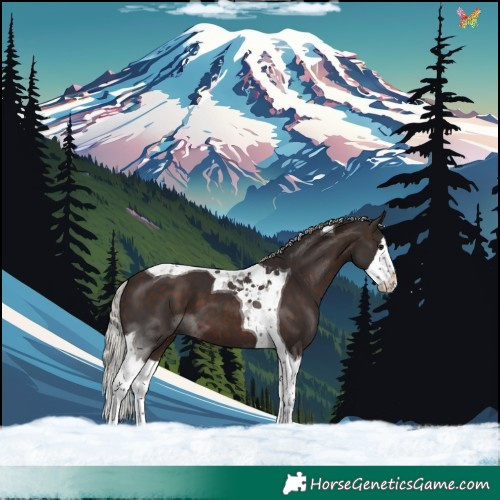 Horse Color:Silver Brown Splash Tobiano