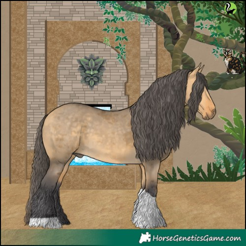 Horse Color:Buckskin Dun Merle Tobiano