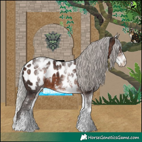 Horse Color:White Spotted Silver Brown Appaloosa 
