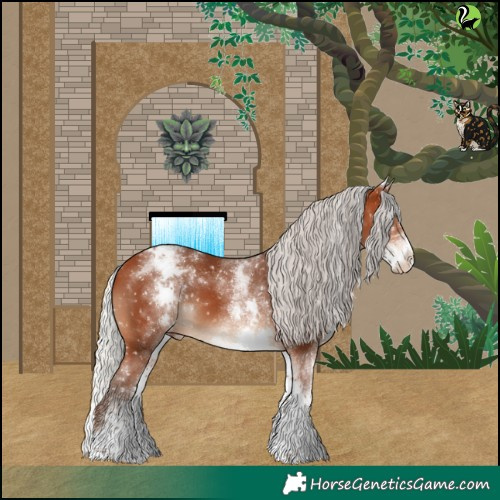 Horse Color:White Spotted Silver Bay Appaloosa 