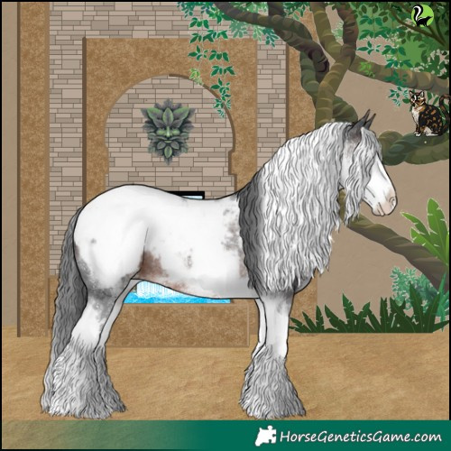 Horse Color:White Spotted Brown Merle Tobiano Appaloosa 