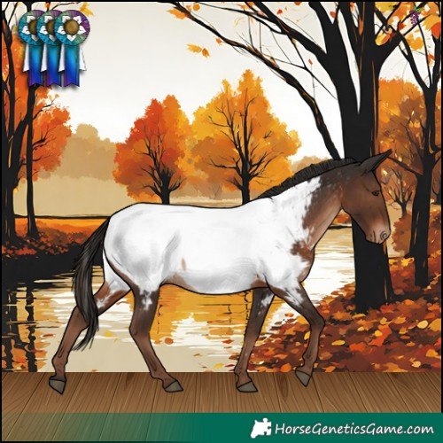 Horse Color:Liver Chestnut Appaloosa 