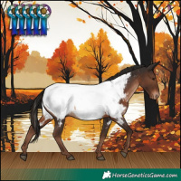 Horse Color:Liver Chestnut Near Fewspot