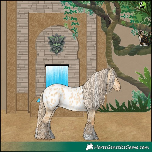 Horse Color:Powder White Palomino Dun Blanket