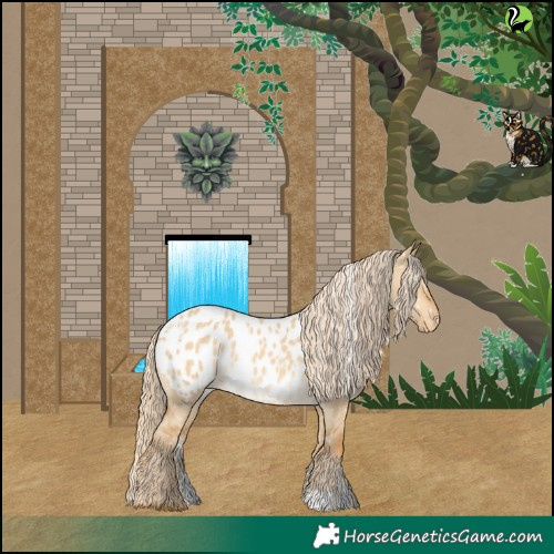 Horse Color:Powder White Palomino Dun Appaloosa