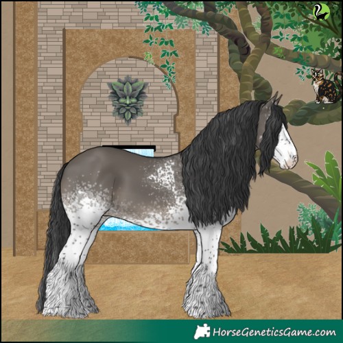 Horse Color:White Spotted Grullo