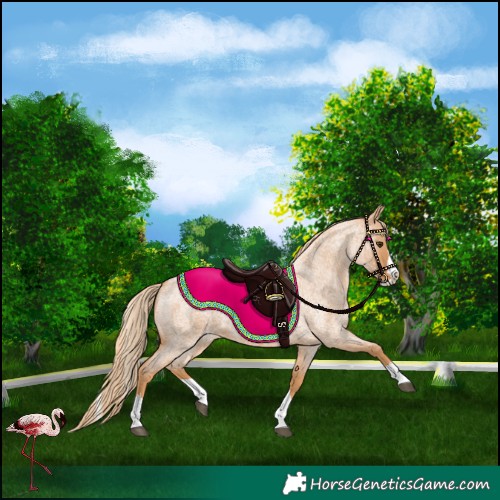 Horse Color:Red Roan Splash