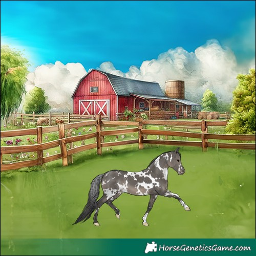 Horse Color:White Spotted Grullo Varnish 