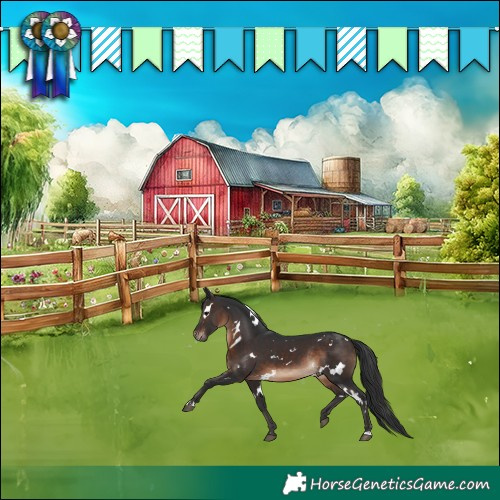 Horse Color:White Spotted Brown Rabicano 