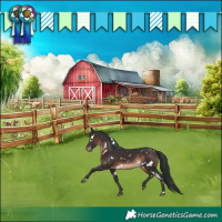 Horse Color:White Spotted Brown Rabicano
