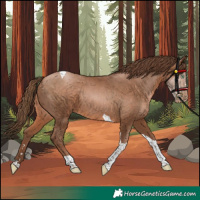 Horse Color:Brown Pearl Tobiano