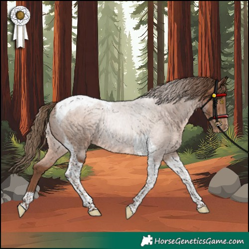 Horse Color:Brown Pearl Tobiano 