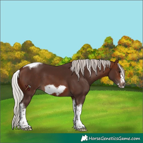Horse Color:Silver Brown Tobiano Frame