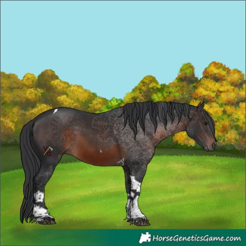 Horse Color:Brown Tobiano