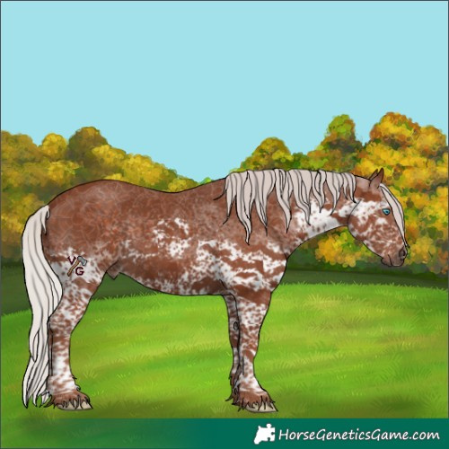 Horse Color:Silver Black Splash Tobiano 