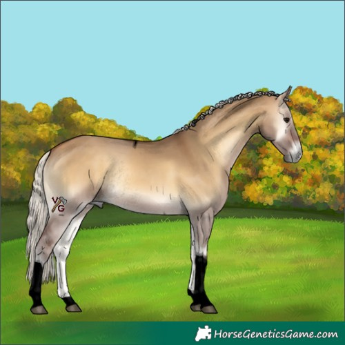 Horse Color:Void Silver Buckskin Onyx Tobiano Rabicano 