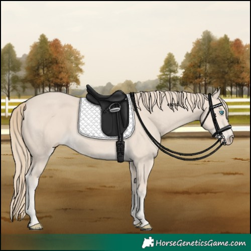 Horse Color:Smoky Creme 