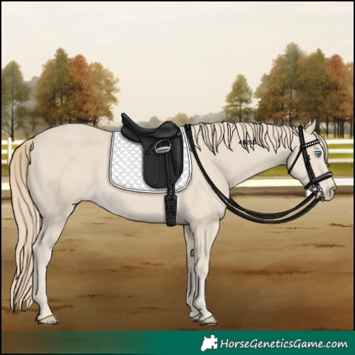 Horse Color:Smoky Creme 