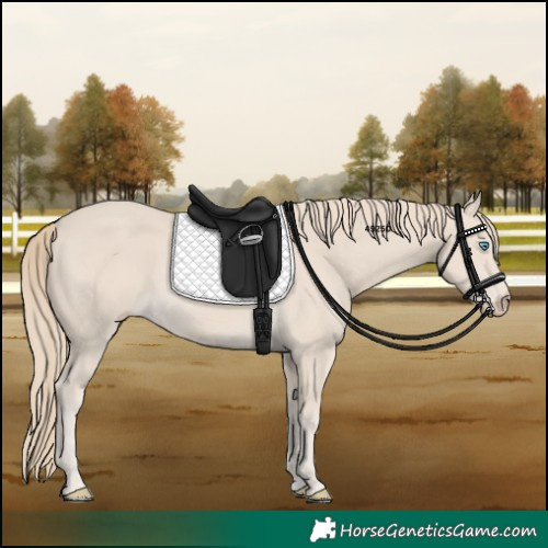 Horse Color:Smoky Creme