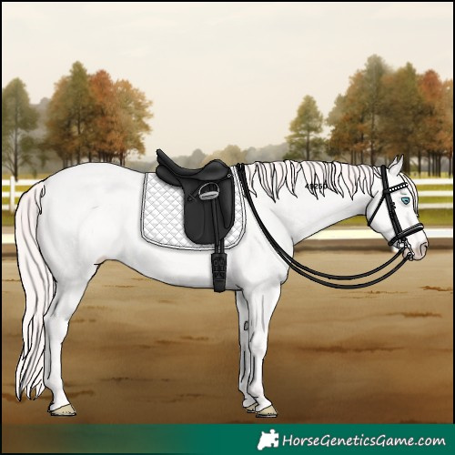 Horse Color:Smoky Creme 