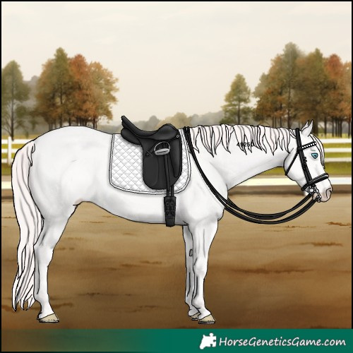 Horse Color:Smoky Creme