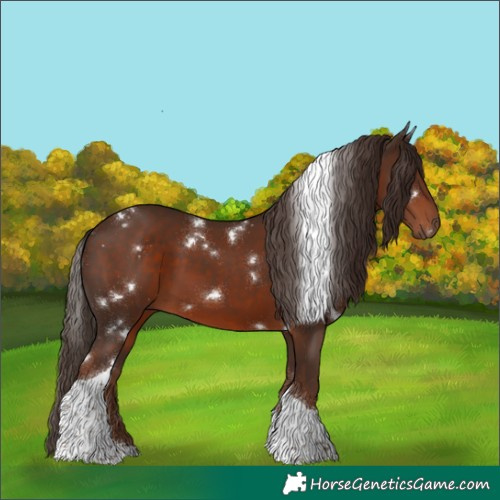Horse Color:White Spotted Liver Chestnut Tobiano 