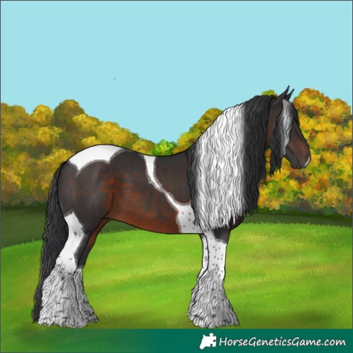 Horse Color:Brown Tobiano 