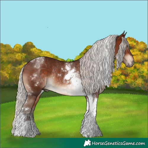Horse Color:Silver Brown Tobiano Rabicano