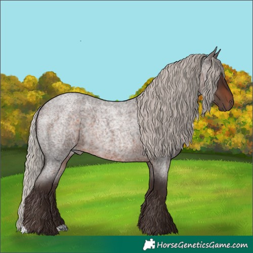 Horse Color:Silver Brown Roan