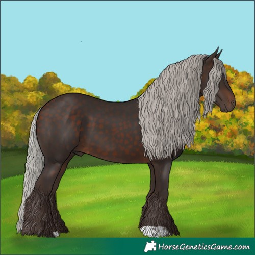 Horse Color:Silver Brown