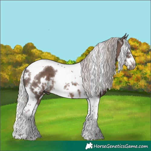 Horse Color:White Spotted Silver Black Splash Tobiano Frame
