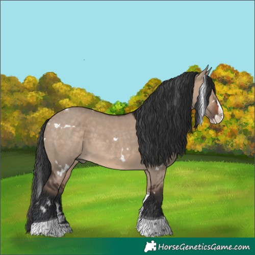 Horse Color:White Spotted Brown Dun Splash Tobiano 