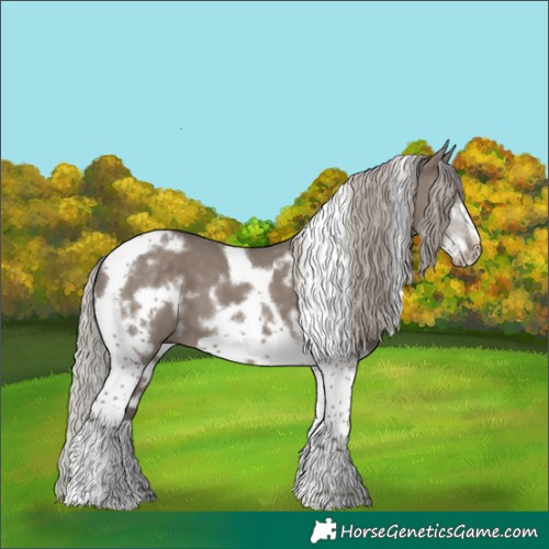Horse Color:White Spotted Silver Grullo Tobiano Frame 