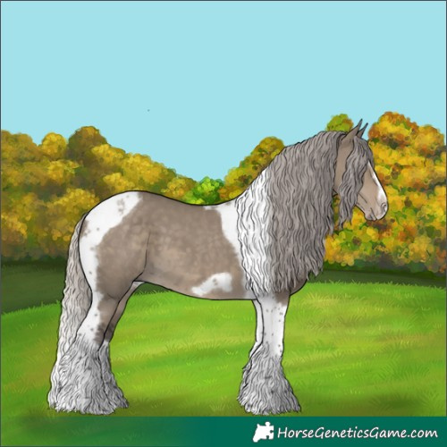 Horse Color:Silver Smoky Grullo Splash Tobiano Frame 