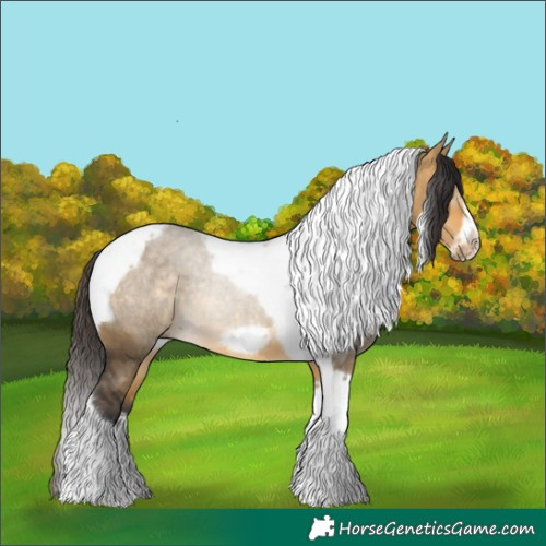 Horse Color:Buckskin Dun Tobiano Frame
