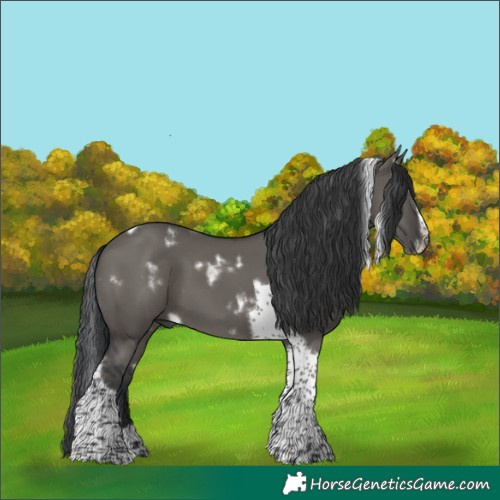 Horse Color:White Spotted Grullo Splash Tobiano Frame