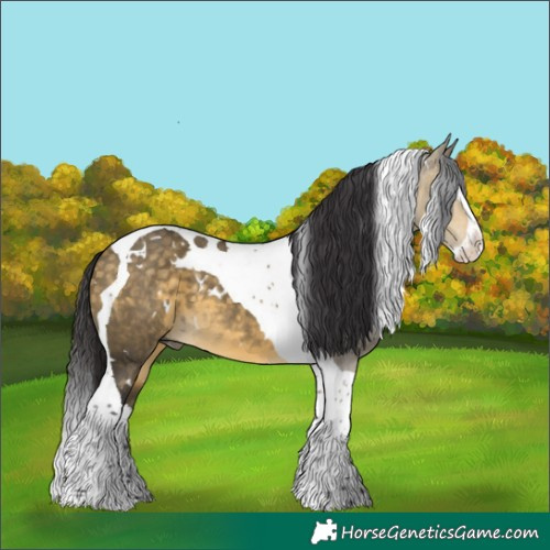 Horse Color:White Spotted Buckskin Dun Splash Tobiano 