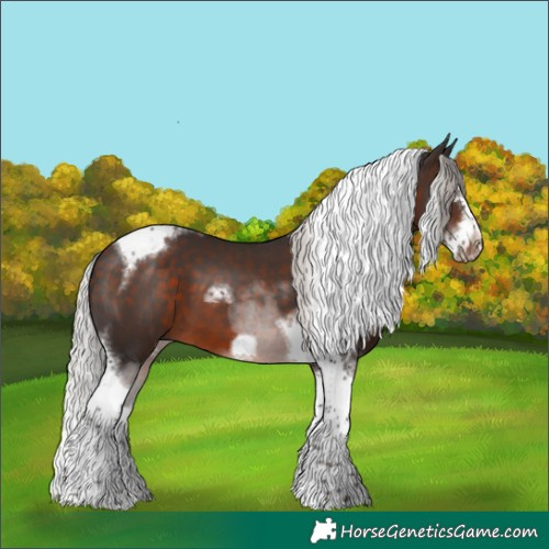 Horse Color:Silver Brown Splash Tobiano Frame