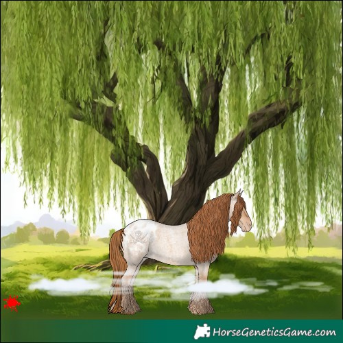 Horse Color:Red Dun Roan Blanket 
