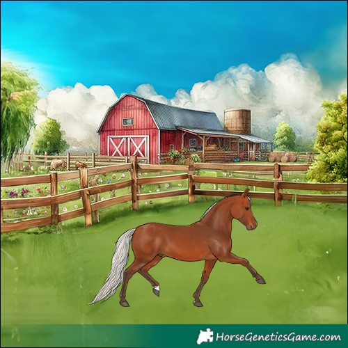 Horse Color:Silver Bay